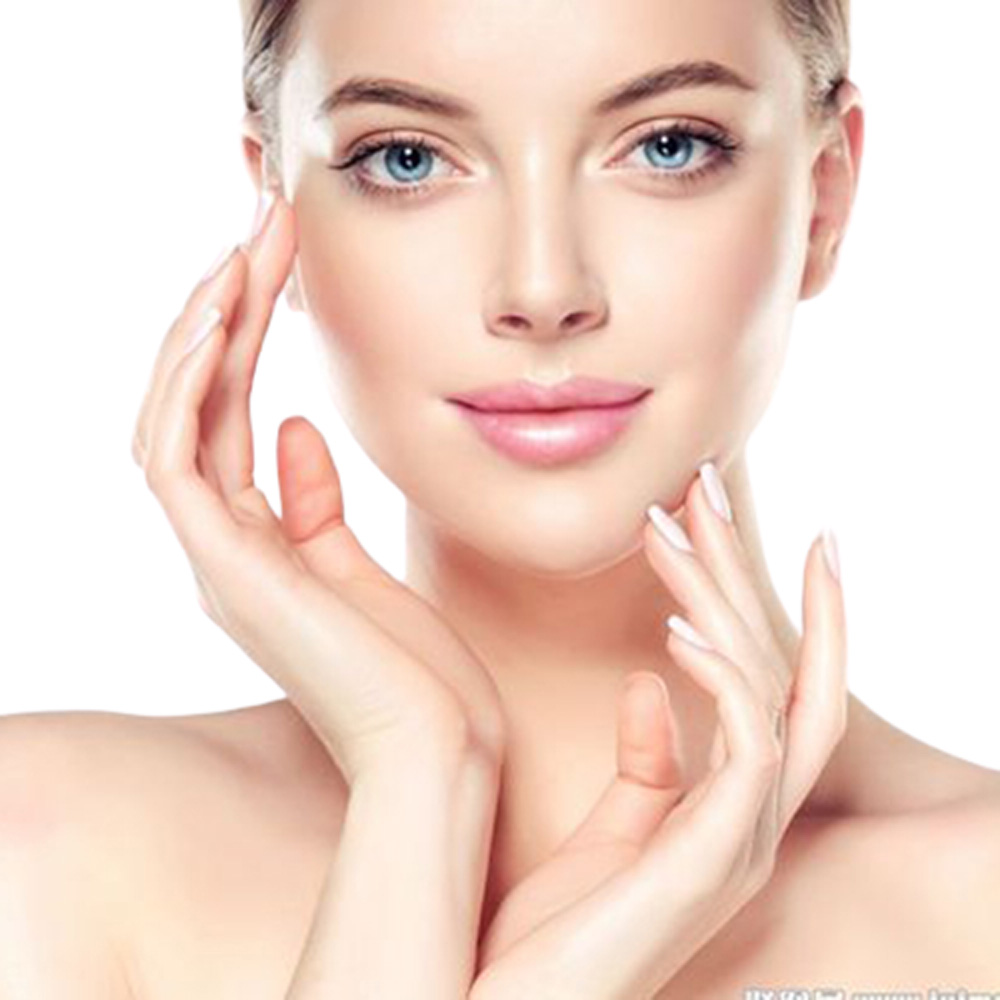 Fish Collage Application (1)