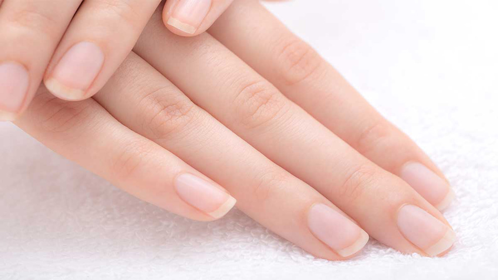 Bovine Collagen Application (6)