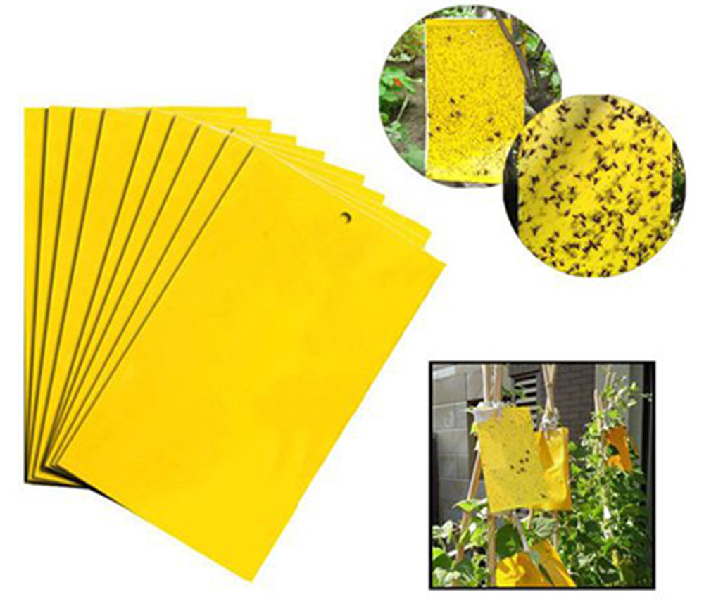 Hot Melt Glue Application (2)